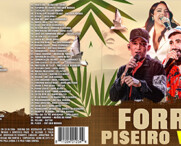 Forró & Piseiro Vol.2